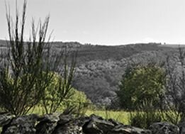 tourisme hotel-domerie-aubrac